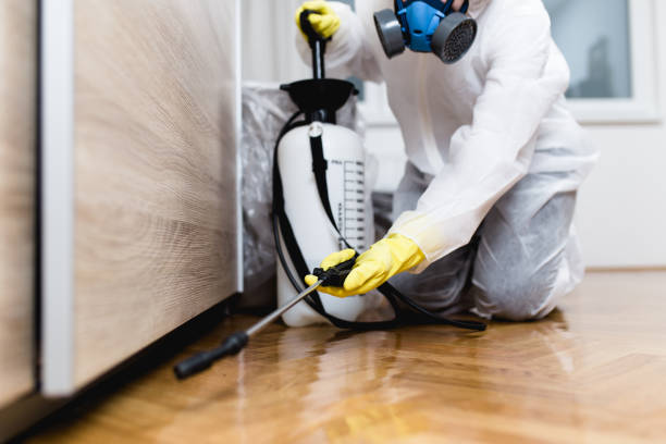 Best Commercial Pest Control Services  in Hildebran, NC