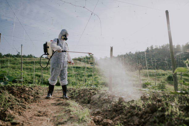 Best Pest Control for Businesses  in Hildebran, NC