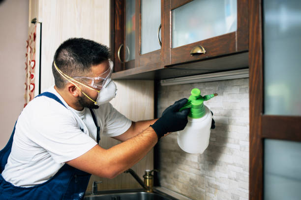 Best Flea Control Services  in Hildebran, NC