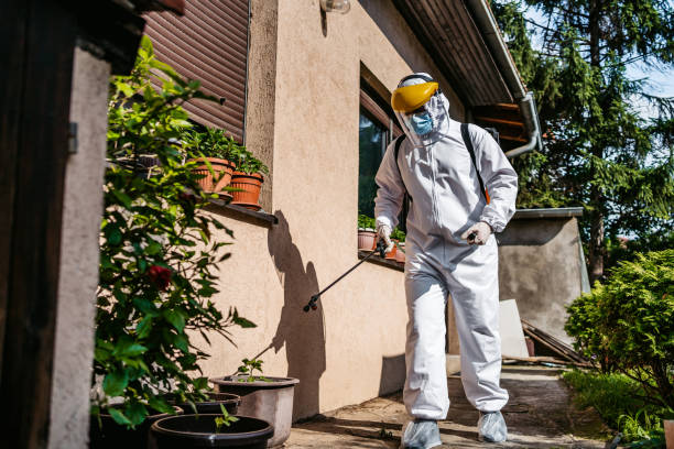 Best Affordable Pest Control Services  in Hildebran, NC
