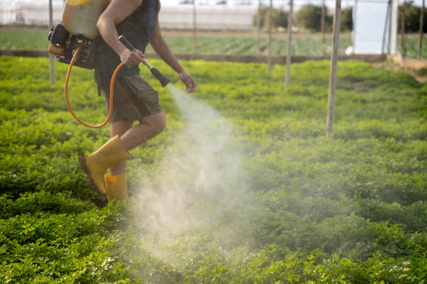 Best Best Pest Control Companies  in Hildebran, NC
