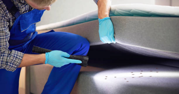 Best Pest Inspection Near Me  in Hildebran, NC