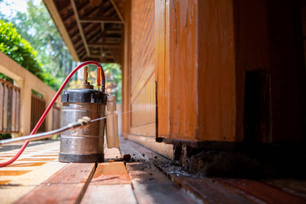 Best Insect Control  in Hildebran, NC