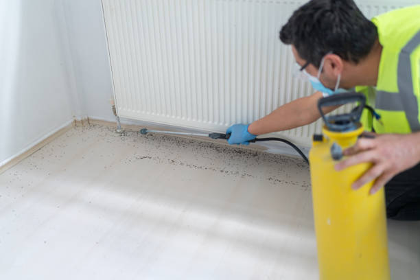 Best Pest Removal Services  in Hildebran, NC