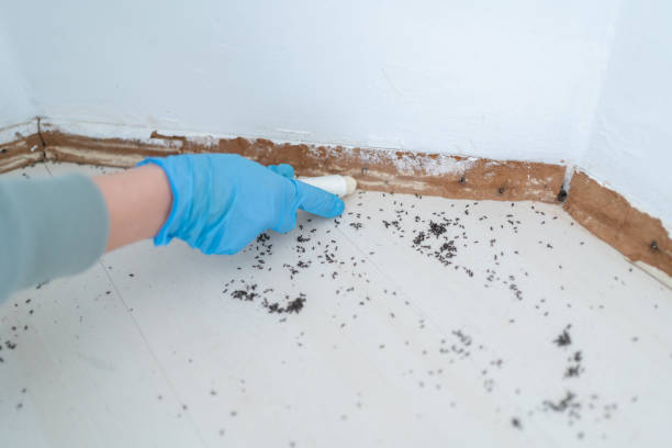 Best Wildlife Control Services  in Hildebran, NC